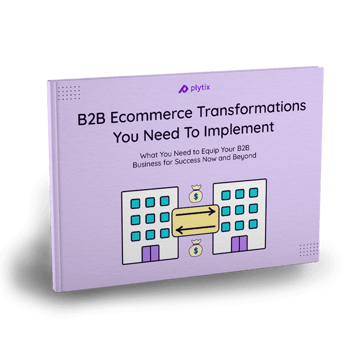 B2B-Ecommerce Transformations-ebook-image