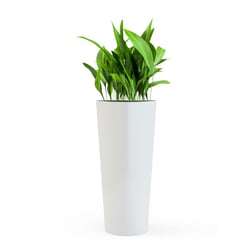 A white planter with a green plant in it.