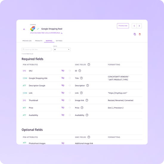 google-shopping-mapping