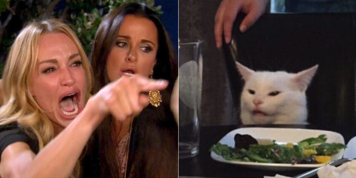 A woman shouting at a cat, who is sitting at a table and disgusted by his salad.
