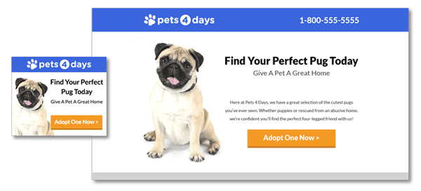 pet-sample