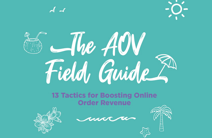 The AOV Guide: 13 Tactics for Boosting Order Revenue [INFOGRAPHIC]