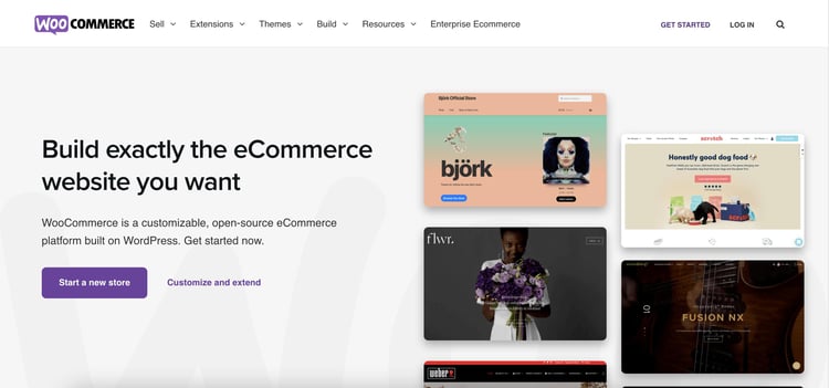 Screenshot of Woocommerce Homepage