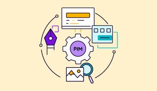 What Does a PIM System Do?