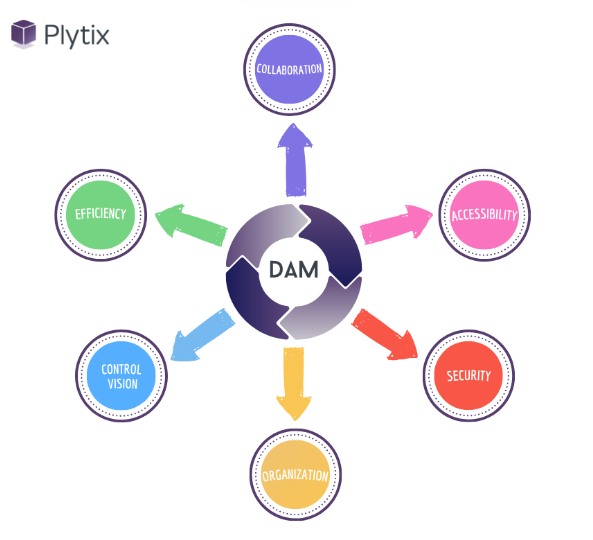 what-is-digital-asset-management-and-how-to-use-it-2