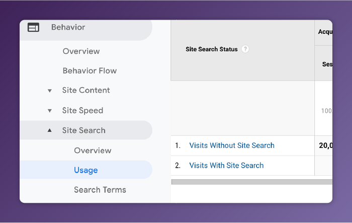 See What—and How—Visitors are Searching on Your Site