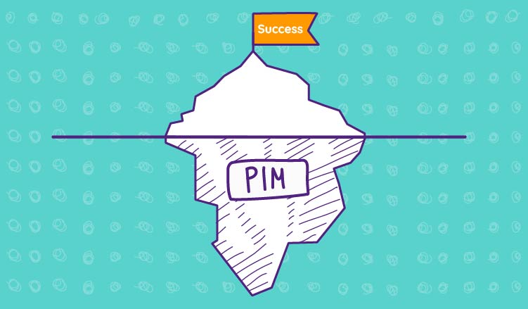 How to guarantee a successful PIM implementation 