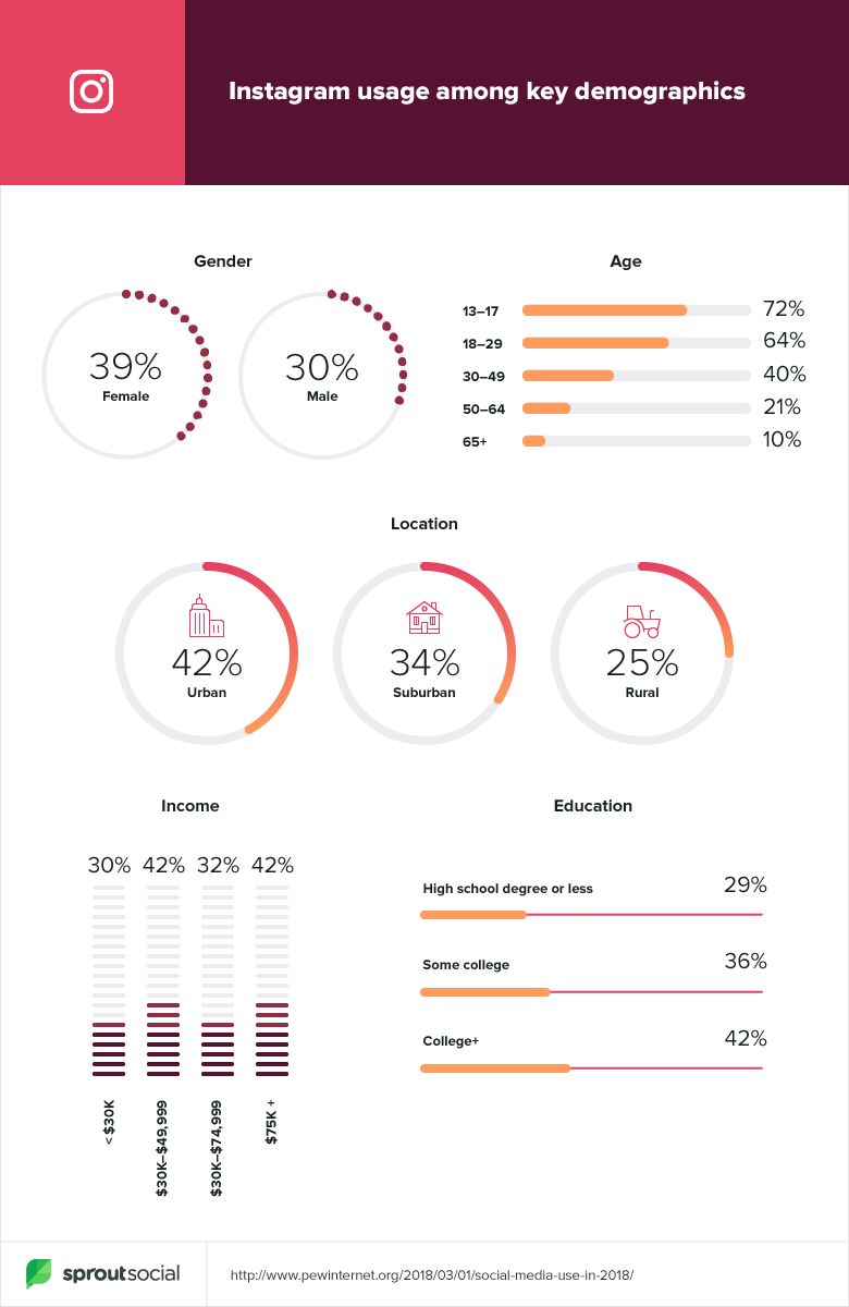 An infographic on Instagram usage amongst different demographics