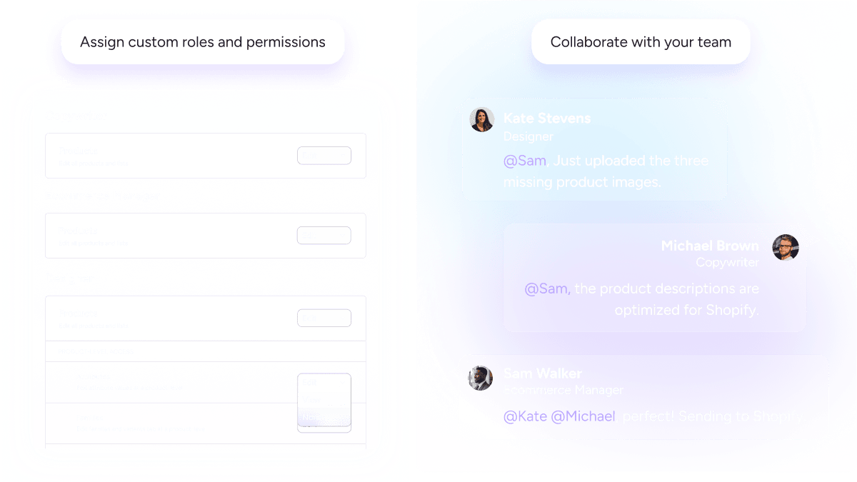 Plytix PIM interface showing team roles settings, and comments of users.